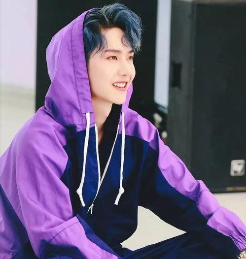 博君一肖圈内爆料,揭秘娱乐圈的甜蜜秘密与幕后故事